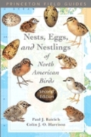 Baicich, Harrison : A Guide to the Nests, Eggs and Nestlings of North American Birds :