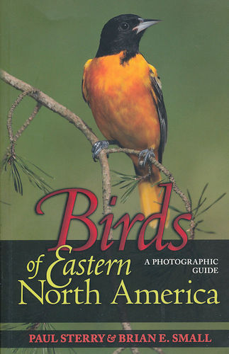 Sterry, Small: Birds of Eastern North America : A Photographic Guide