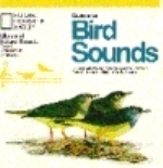 National Geographic Society : National Geographic Guide to Bird Songs :