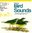 National Geographic Society : National Geographic Guide to Bird Songs :