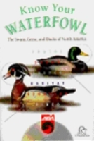 N.N. : Know Your Waterfowl :