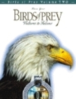 N.N. : Know Your Birds of Prey :