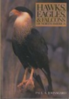 Johnsgard : Hawks, Eagles and Falcons of North America : Biology and Natural History