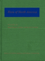 Flora of North America Editiorial Committee : Flora of North America and North of Mexico : Volume 26: Magnoliophyta: Liliidae: Liliales and Orchidales