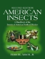 Arnett : American Insects : A Handbook of the Insects of America North of Mexico