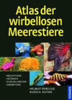 Debelius, Kuiter : Atlas der wirbellosen Meerestiere : Weichwürmer - Würmer - Stachelhäuter - Krebstiere