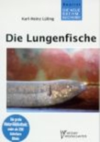 Lüling : Die Lungenfische und der Südamerikanische Kurzschwanzaal : Dipnoidea und Synbranchidae - Neue Brehm-Bücherei, Bd. 524