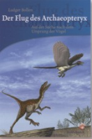 Bollen : Der Flug des Archaeopteryx : Auf der Suche nach dem Ursprung der Vögel