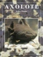 Wistuba : Axolotl :