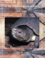 Schilde: Schlammschildkröten