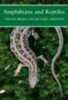 Beebee, Griffiths : Amphibians and Reptiles : A Natural History of British Herpetofauna