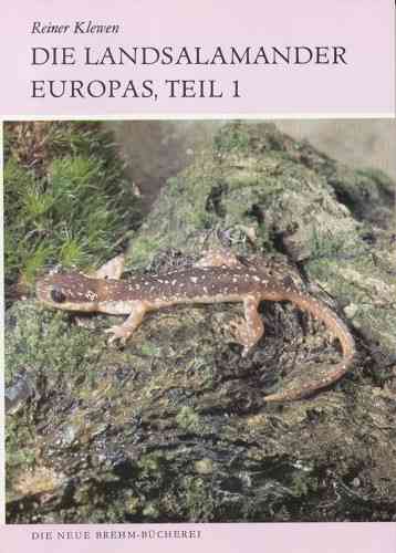 Klewen: Die Landsalamander Europas, Teil 1: Gattungen Salamandra und Mertensiella - Neue Brehm-Bücherei, Bd. 584