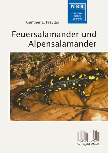 Freytag: Feuersalamander und Alpensalamander