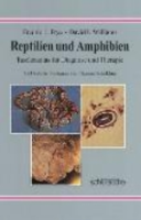 Frye, Williams : Reptilien und Amphibien : Taschenatlas für Diagnose und Therapie