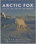 Hamilton : Arctic Fox : Life at the Top of the World