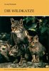 Piechocki: Die Wildkatze - Felis silvestris