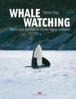 Day : Whale Watching : Wale und Delfine in freier Natur erleben
