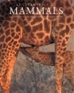 Gould, McKay : Encyclopedia of Mammals :
