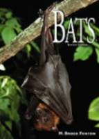 Fenton : Bats :