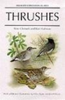 Clement: Thrushes