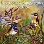 Roché, Chevereau : Robin, Redstarts and Related Species : Rougegorge, Rougequeues & Cie