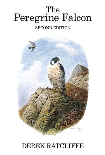Ratcliffe; Illustr.: Rose: The Peregrine Falcon