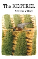 Village; Illustr.: Brockie : The Kestrel :