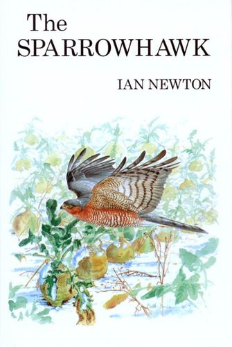 Newton: The Sparrowhawk
