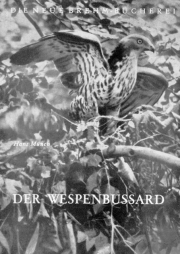 Münch: Der Wespenbussard - Pernis apivorus,