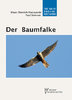 Fiuczynski, Sömmer: Der Baumfalke - Falco subbuteo