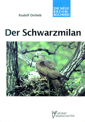 Ortlieb: Der Schwarzmilan - Milvus migrans