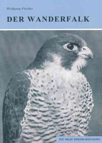 Fischer: Der Wanderfalke - Falco peregrinus und Falco pelegrinoides