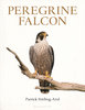 Stirling-Aird: Peregrine Falcon