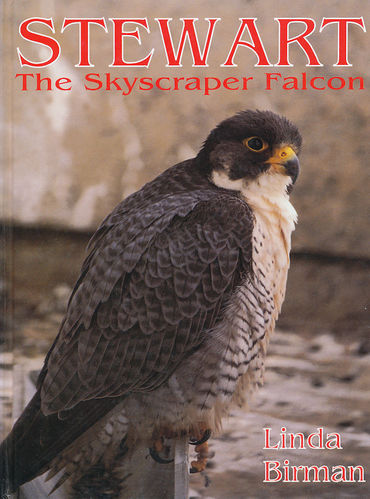 Birman: Stewart: The Skyscraper Falcon