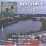 Hauff : Seeadler in der Stadt : Videoprojekt 1993/94 NSG Insel Kaninchenwerder Schweriner See