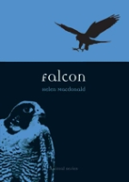 Macdonald : Falcon :