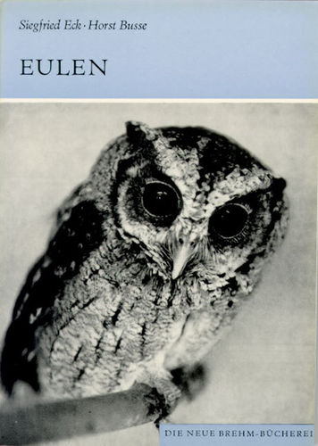 Eck, Busse: Eulen - Die rezenten und fossilen Formen - Aves Strigidae