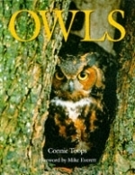 Toops : Owls :