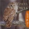 : Voices of North American Owls :