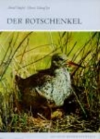 Stiefel, Scheufler : Der Rotschenkel : Tringa totanus - Neue Brehm-Bücherei, Bd. 562