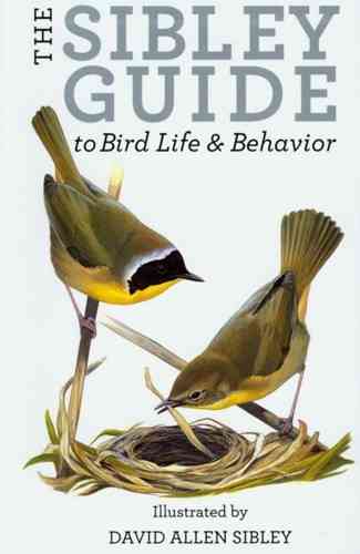 Sibley: The Sibley Guide to Bird Life and Behaviour - A Companion to The North American Bird Guide