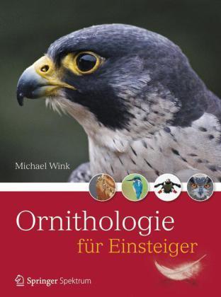 Wink: Ornithologie für Einsteiger