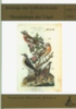 Busching (Hrsg.) : Beiträge zur Gefiederkunde und Morphologie der Vögel : Heft 11 (2005)