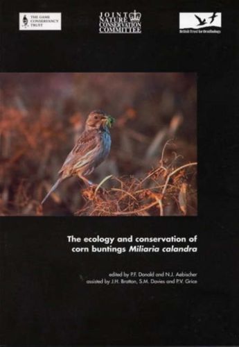 Donald, Aebischer: Ecology and Conservation of Corn-Buntings (Miliaria calandra)