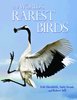 Hirschfeld, Swash, Still: The World's Rarest Birds