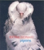 Green-Armytage : Extraordinary Pigeons :
