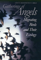 Able: Gatherings of Angels - Migrating Birds and Their Ecology