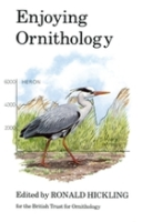 Hickling : Enjoying Ornithology :