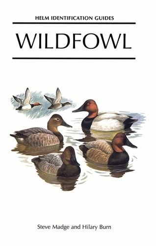 Madge, Burn: Wildfowl - An identification guide to the ducks, geese and swans of the world