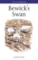Rees: Bewick's Swan